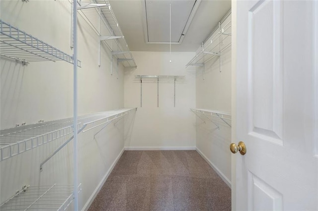 4855 Payson Ter SE Unit 3, Atlanta, GA 30339 - spacious closet featuring attic access and carpet flooring