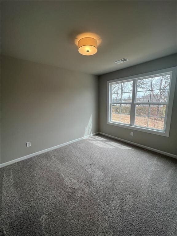 unfurnished room with carpet