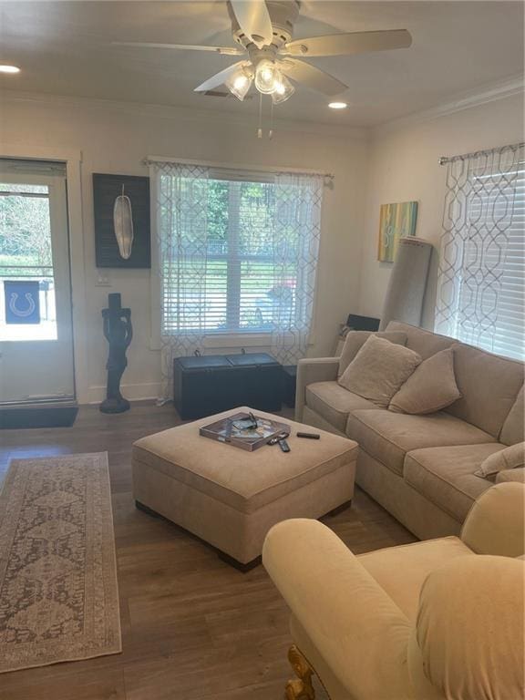 living room featuring dark hardwood / wood-style floors, ceiling fan, and crown molding