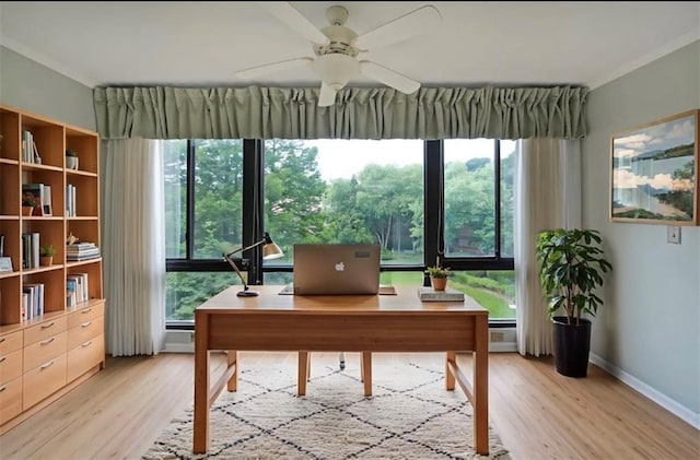 1800 Clairmont Lk Unit 313, Decatur, GA 30033 - home office featuring light wood-type flooring, a ceiling fan, healthy amount of natural light, and crown molding