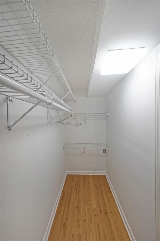 1800 Clairmont Lk Unit 313, Decatur, GA 30033 - walk in closet with light wood-type flooring