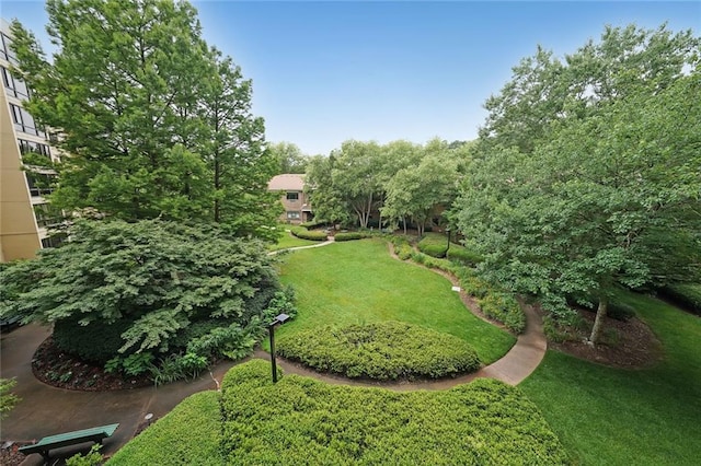 1800 Clairmont Lk Unit 313, Decatur, GA 30033 - view of grassy yard