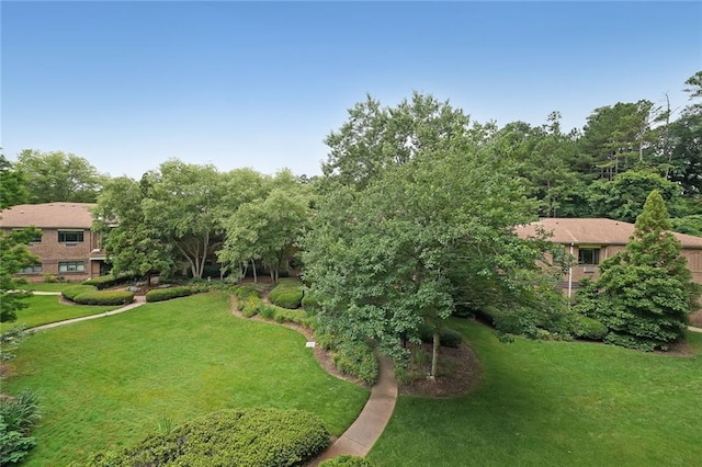 1800 Clairmont Lk Unit 313, Decatur, GA 30033 - view of green lawn