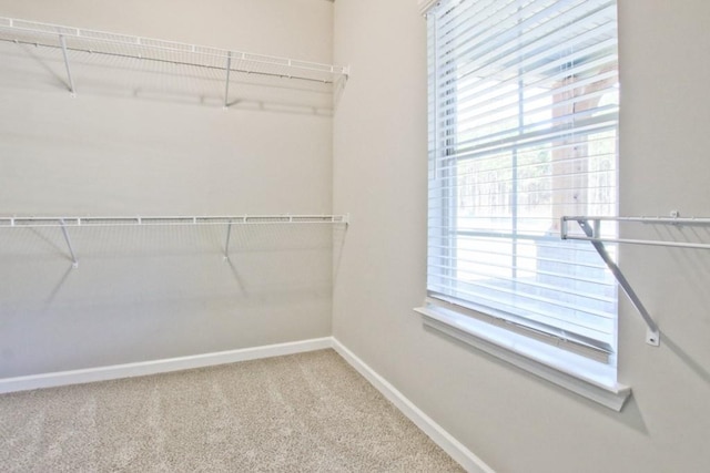 238 Linford Dr, Locust Grove, GA 30248 - spacious closet featuring carpet