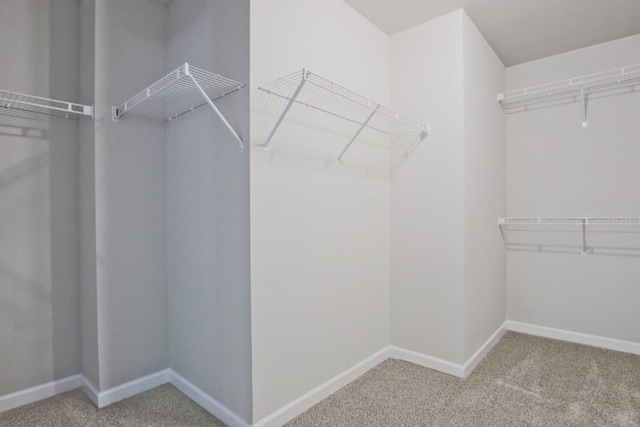 238 Linford Dr, Locust Grove, GA 30248 - spacious closet with carpet flooring