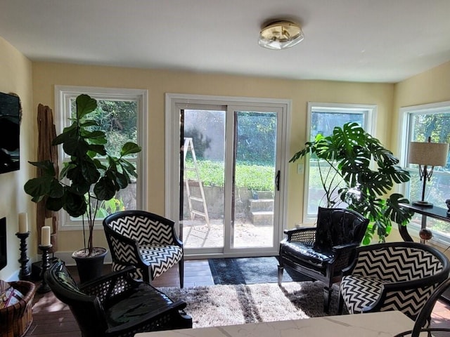 entryway with wood-type flooring