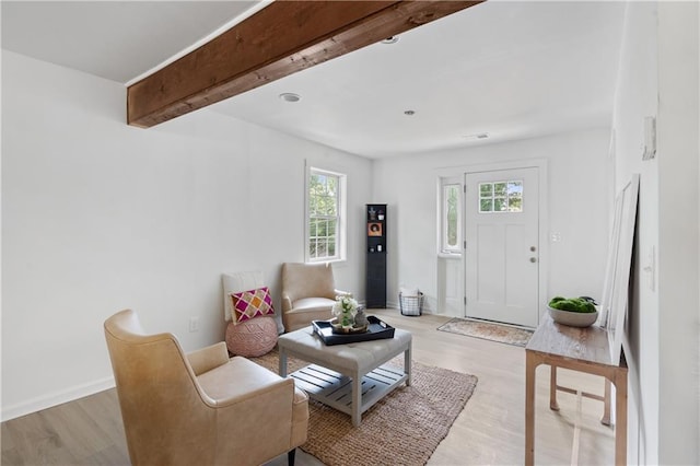 living room with light wood-type flooring and plenty of natural light