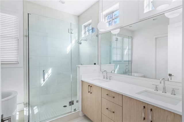 bathroom featuring vanity, an enclosed shower, and toilet