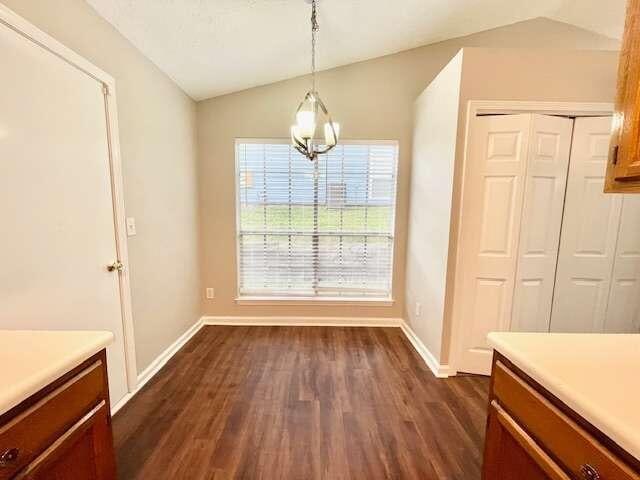 unfurnished dining area with dark hardwood / wood-style floors and vaulted ceiling