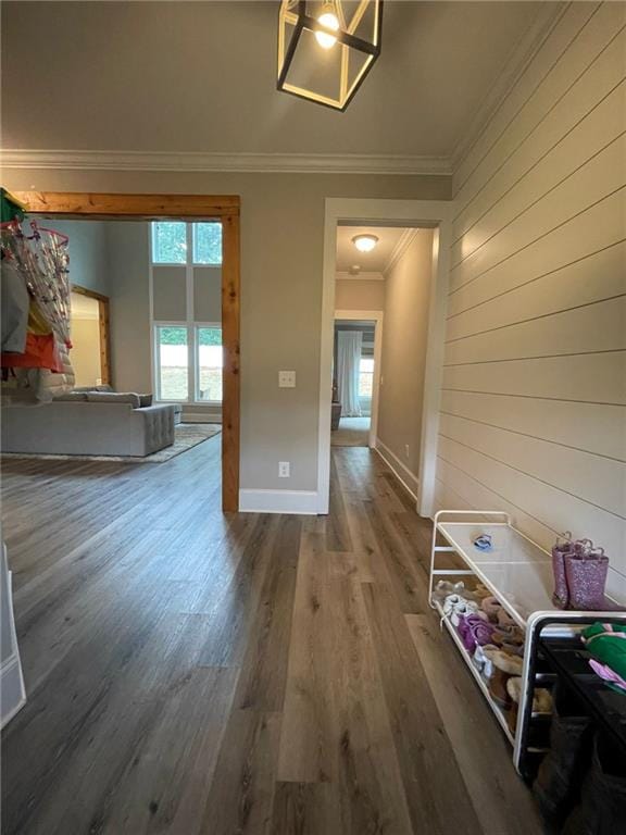 hallway featuring wood walls, wood-type flooring, and ornamental molding