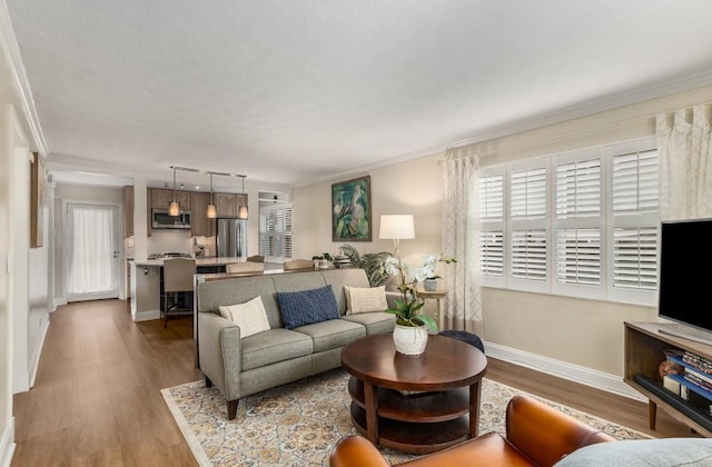 living room featuring hardwood / wood-style flooring and crown molding