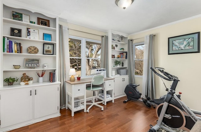 office space with crown molding, dark hardwood / wood-style floors, and a healthy amount of sunlight