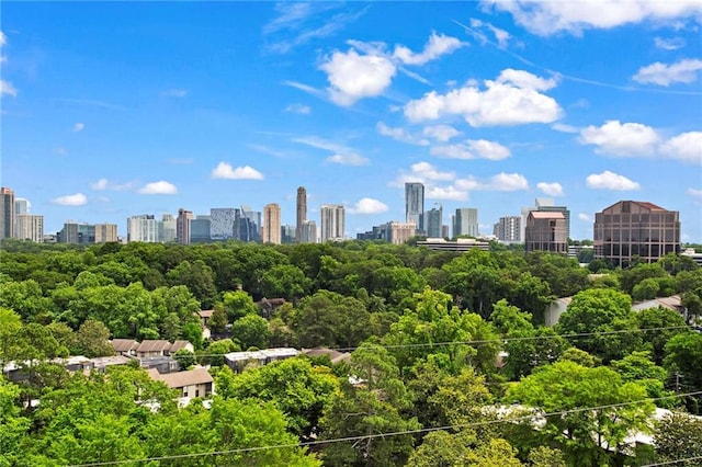 3820 Roswell Rd NE Unit 1001, Atlanta, GA 30342 - view of city skyline