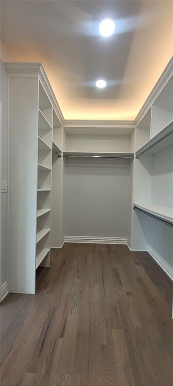 5690 Rutland Trce, Lithonia, GA 30058 - walk in closet with dark wood-style floors