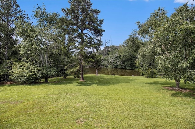 5690 Rutland Trce, Lithonia, GA 30058 - view of grassy yard