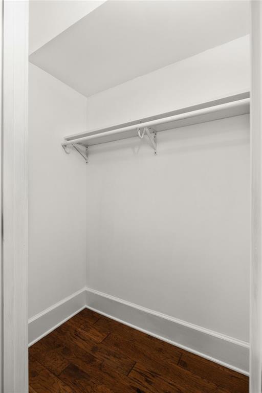 spacious closet with dark wood-type flooring