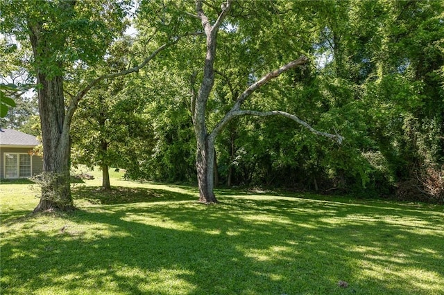 762 Rockbridge Rd NW, Lilburn, GA 30047 - view of green lawn