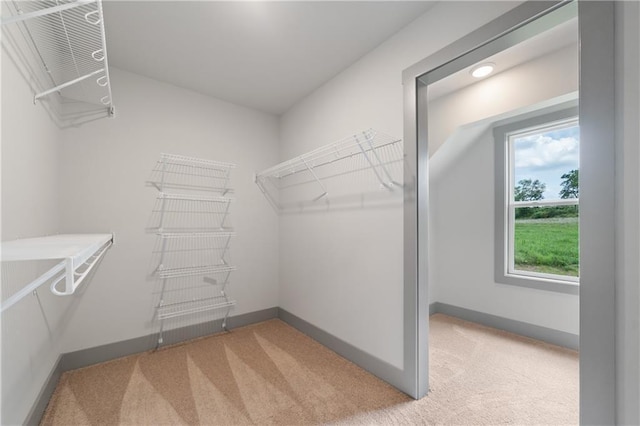 spacious closet featuring light carpet