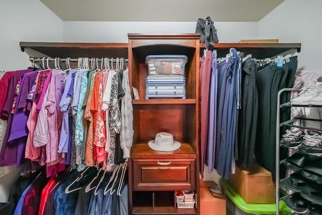view of spacious closet