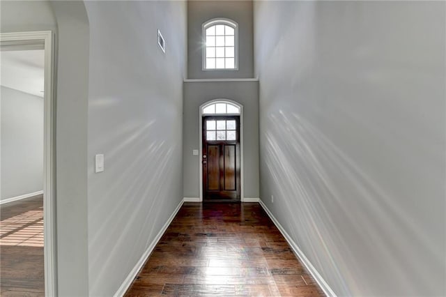 entrance foyer featuring a high ceiling, plenty of natural light, and dark hardwood / wood-style flooring