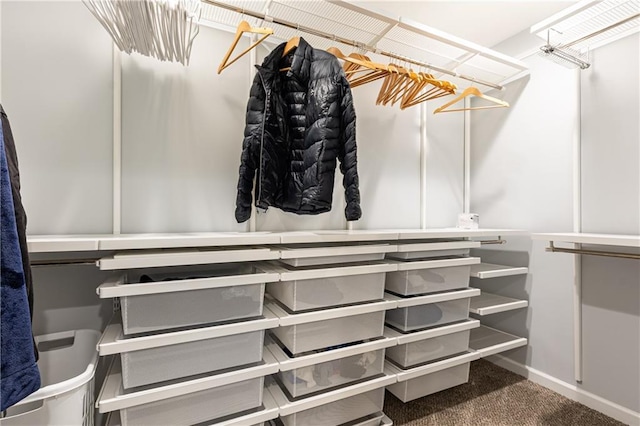 walk in closet with carpet floors