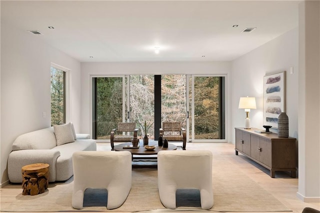 living room featuring light hardwood / wood-style floors