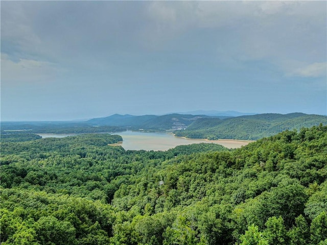 1374 Foxhound Trl NE, Ranger, GA 30734 - mountain view featuring a heavily wooded area and a large body of water