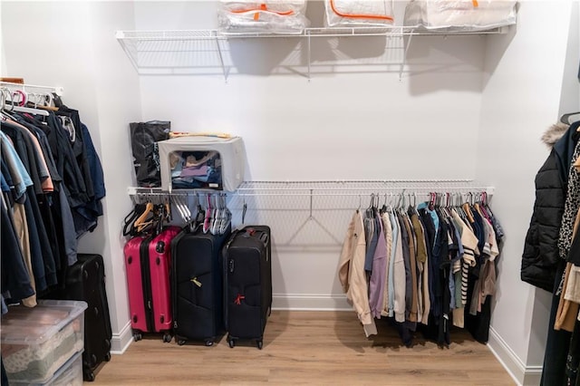 spacious closet featuring wood finished floors