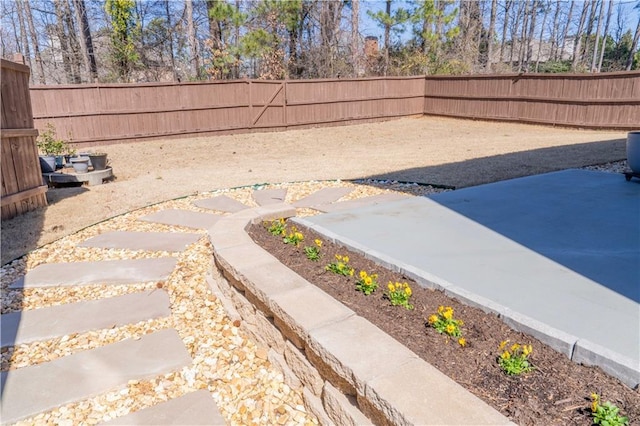 view of yard featuring a fenced backyard and a patio area