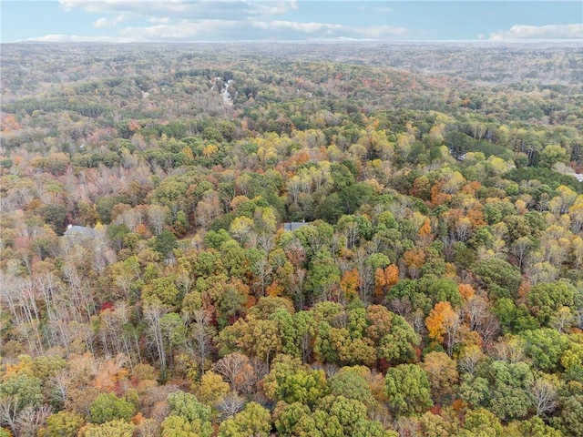 220 Spring Branch Dr, Canton, GA 30115 - view of property location with a forest