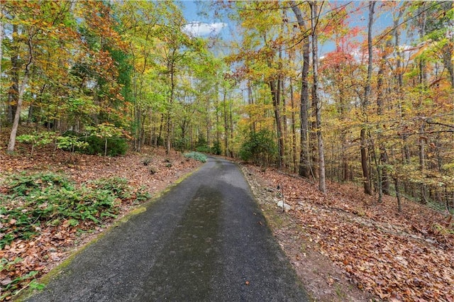 220 Spring Branch Dr, Canton, GA 30115 - view of road featuring a forest view