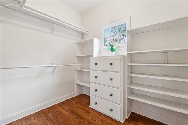 walk in closet featuring dark wood-type flooring