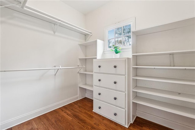 220 Spring Branch Dr, Canton, GA 30115 - spacious closet featuring wood finished floors