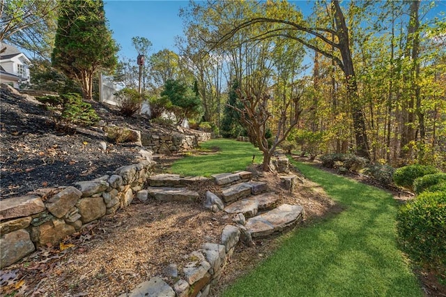 220 Spring Branch Dr, Canton, GA 30115 - view of grassy yard