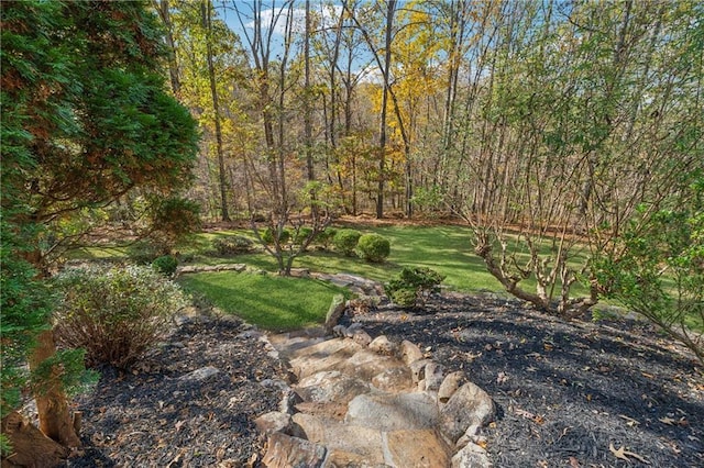 220 Spring Branch Dr, Canton, GA 30115 - view of grassy yard
