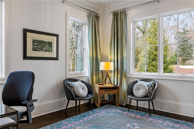 sitting room with dark hardwood / wood-style flooring