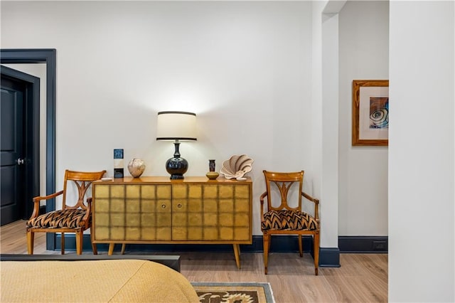 sitting room featuring wood-type flooring