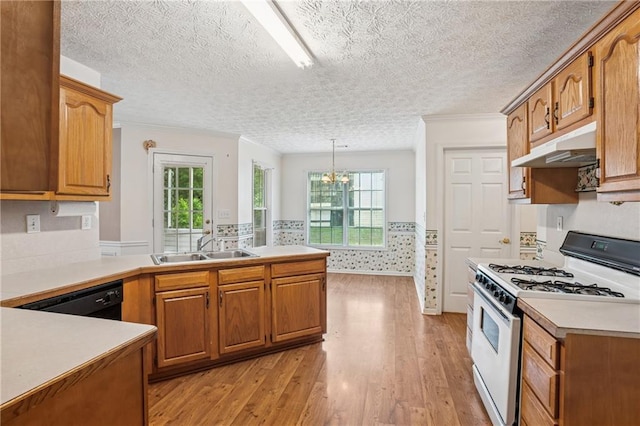 605 Pebble Blvd, Covington, GA 30016 - kitchen featuring white range with gas stovetop, under cabinet range hood, light wood finished floors, a peninsula, and a sink