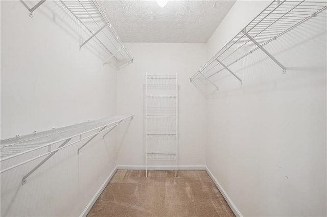605 Pebble Blvd, Covington, GA 30016 - walk in closet featuring light carpet