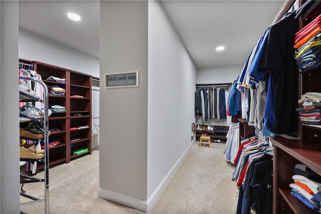 spacious closet featuring carpet