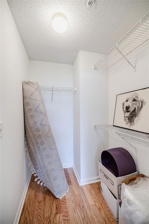 spacious closet featuring light wood-style floors