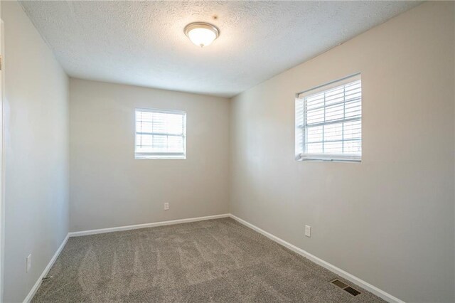 unfurnished room with carpet, a textured ceiling, and plenty of natural light