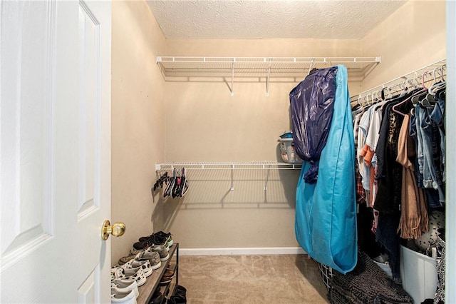 7341 Raleigh Way, Bethlehem, GA 30620 - spacious closet with carpet