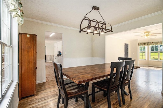 7341 Raleigh Way, Bethlehem, GA 30620 - dining room with wood finished floors, a wainscoted wall, crown molding, a ceiling fan, and a chandelier