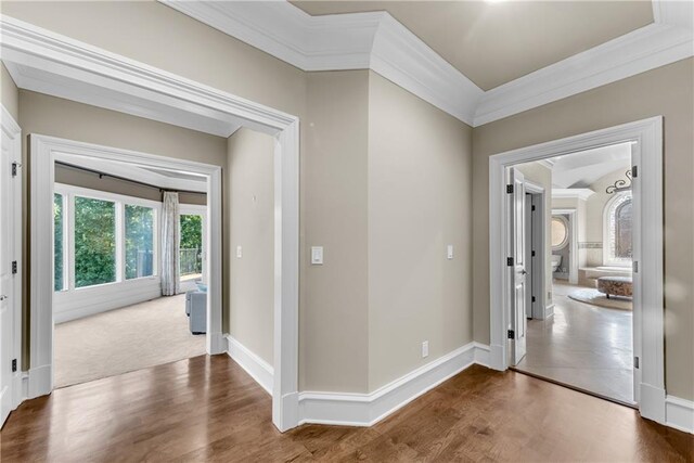 hall featuring carpet flooring and ornamental molding