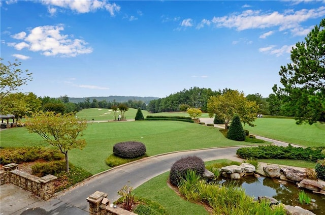 view of community with a lawn