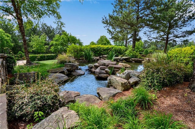 exterior space featuring a small pond