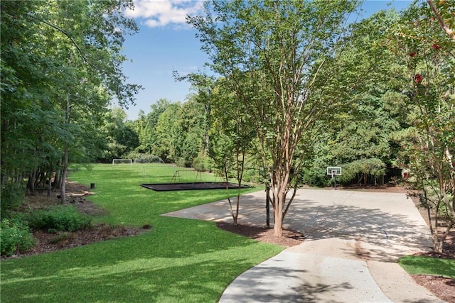 view of home's community with a lawn and driveway