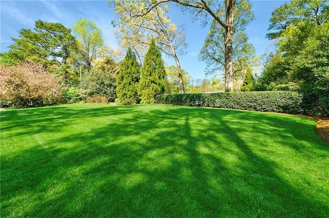 view of grassy yard