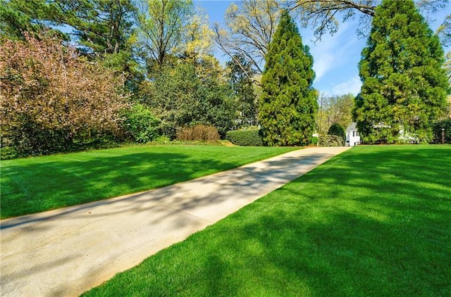 view of home's community featuring a lawn